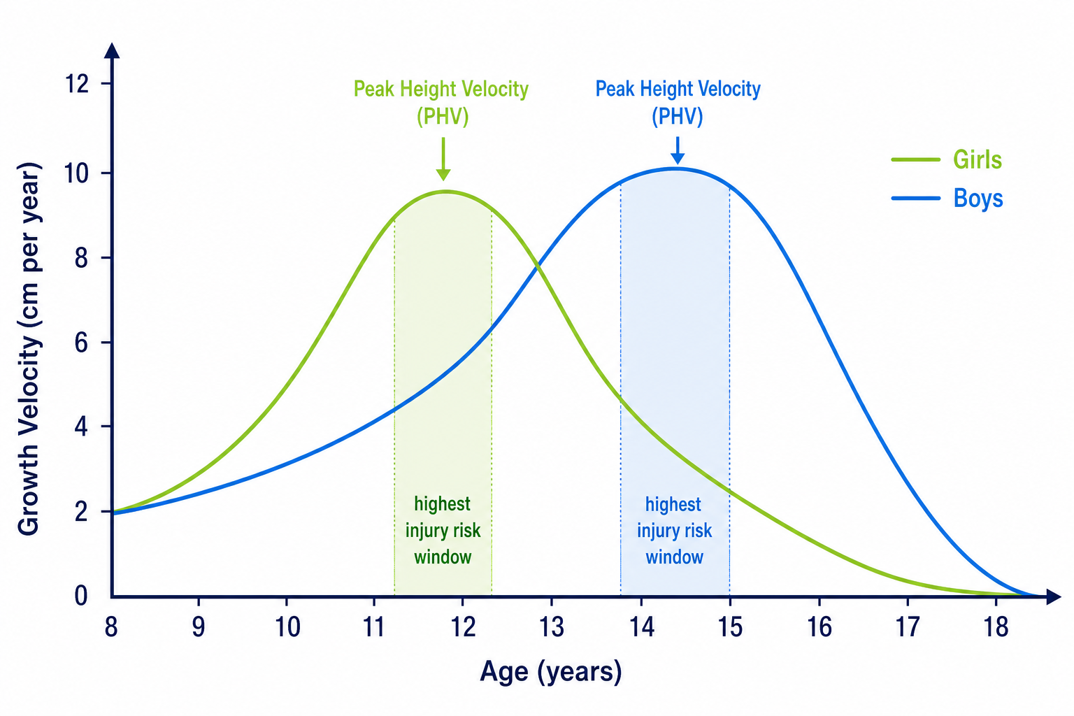 Growth velocity curve showing centimetres of growth per year from age eight to eighteen, with the girls curve peaking around age twelve and the boys curve around age fourteen, each peak labelled peak height velocity